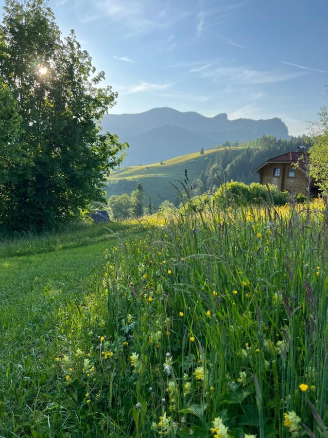 Tauglerei Appartement Enzian In Den Zauberbergen Санкт-Коломан Экстерьер фото